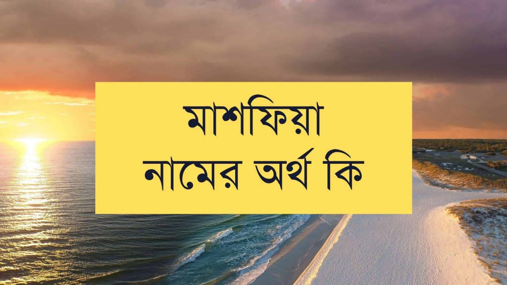 মাশফিয়া নামের অর্থ কি (যে কারনে সবচেয়ে গ্রহনযোগ্য এটি) - ই বাংলা