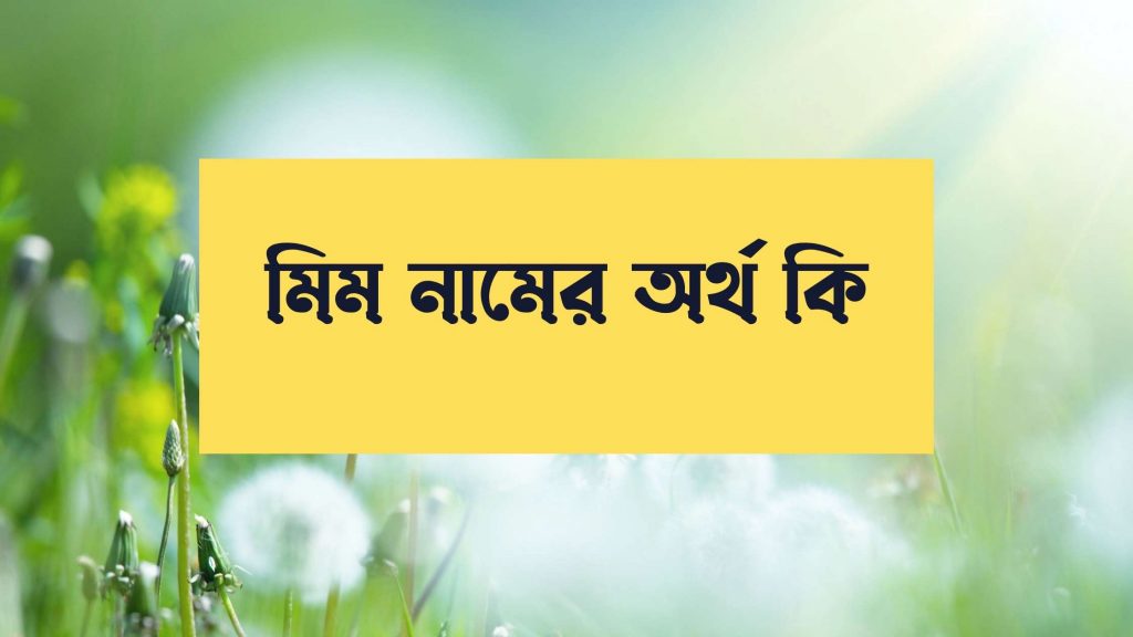 মিম নামের অর্থ কি - মিম নামের বিখ্যাত ব্যক্তি সম্পর্কে জানুন - ই বাংলা