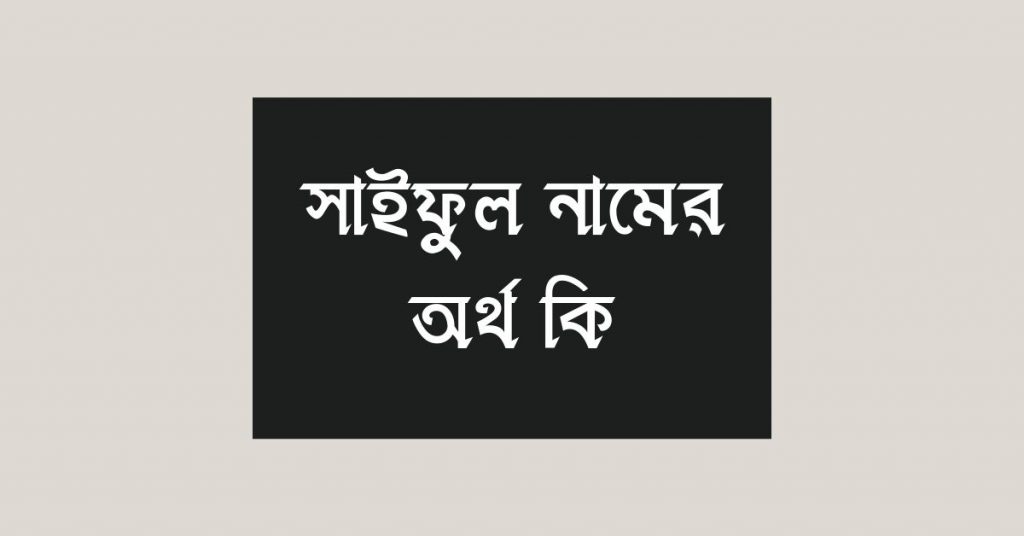সাইফুল নামের অর্থ কি | এই নামটির ভিন্ন ভিন্ন অর্থ জেনে নিন - ই বাংলা সাইফুল নামের অর্থ কি