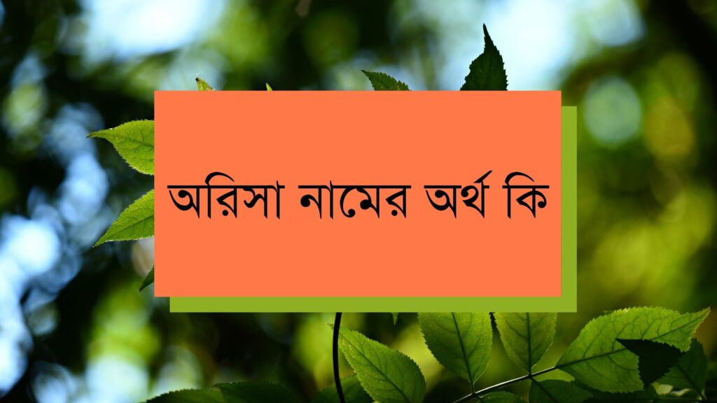 অরিসা নামের অর্থ কি – আরবি ইসলামিক ও বাংলা - ই বাংলা