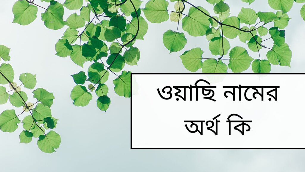 ওয়াছি নামের অর্থ কি