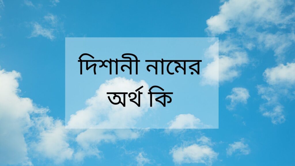 দিশানী নামের অর্থ কি, আরবি ও আধুনিক অর্থসহ জানুন - ই বাংলা দিশানী নামের অর্থ কি