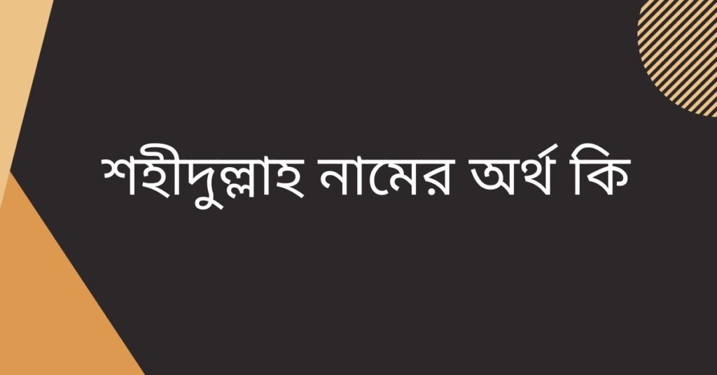 শহীদুল্লাহ নামের অর্থ কি – আরবি বাংলা ইসলামিক ফারসি অর্থ - ই বাংলা শহীদুল্লাহ নামের অর্থ কি