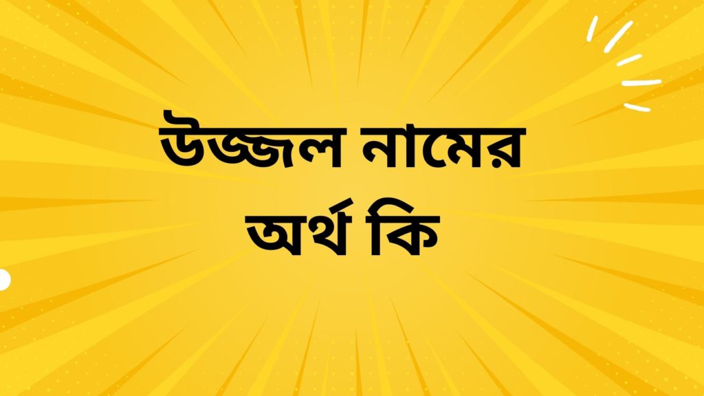 উজ্জল নামের অর্থ কি ()