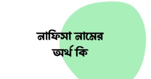 নাফিসা নামের অর্থ কি () নাফিসা নামের অর্থ কি ()
