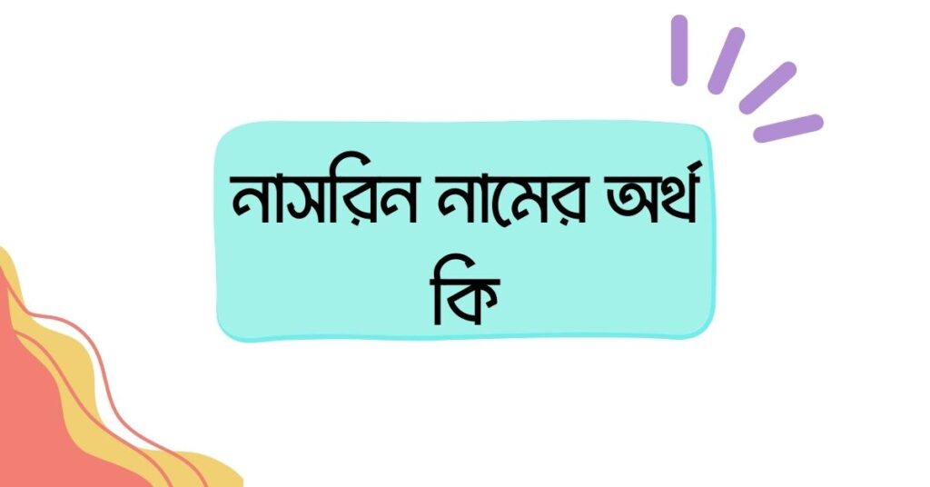 নাসরিন নামের অর্থ কি () নাসরিন নামের অর্থ কি ()