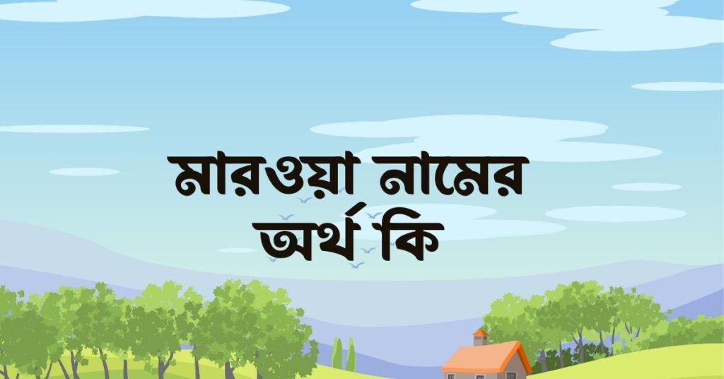 মারওয়া নামের অর্থ কি