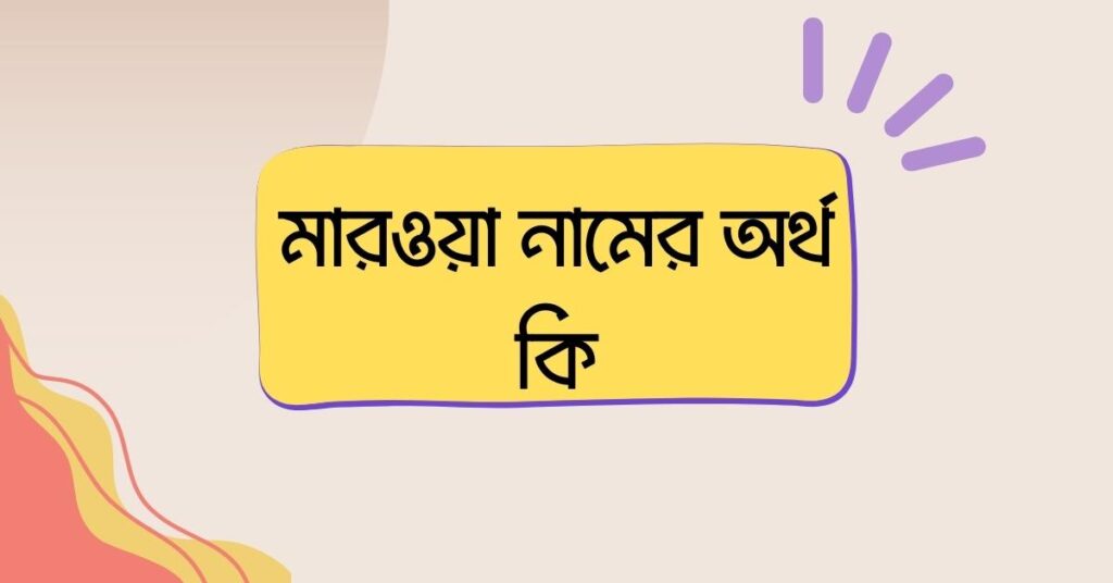 মারওয়া নামের অর্থ কি () মারওয়া নামের অর্থ কি ()