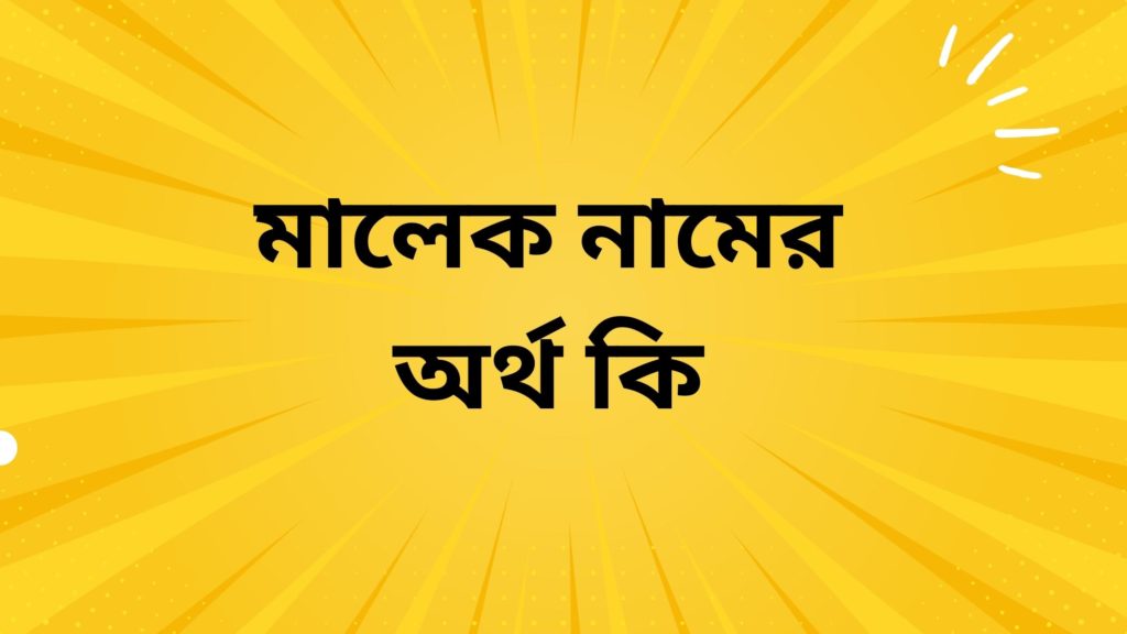 মালেক নামের অর্থ কি ()