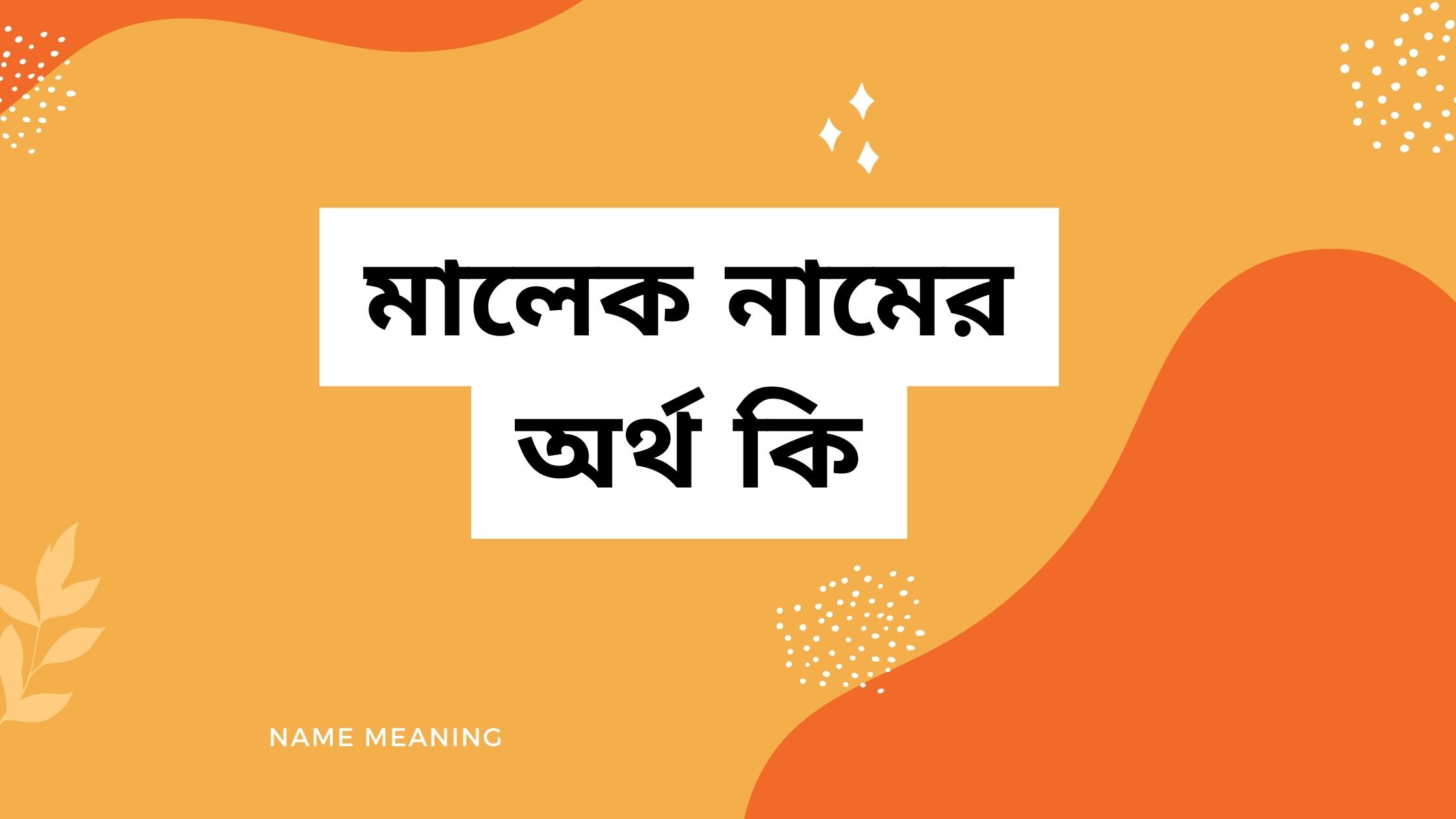 মালেক নামের অর্থ কি মালেক নামের অর্থ কি