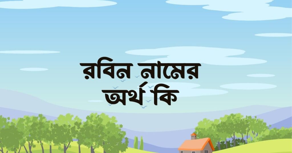 রবিন নামের অর্থ কি