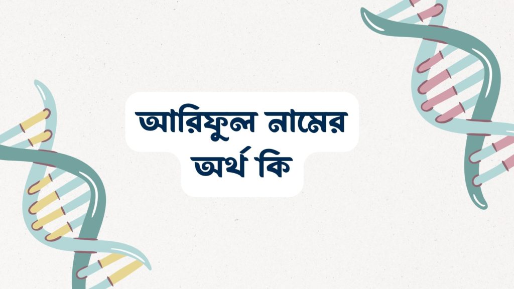 আরিফুল নামের অর্থ কি ()