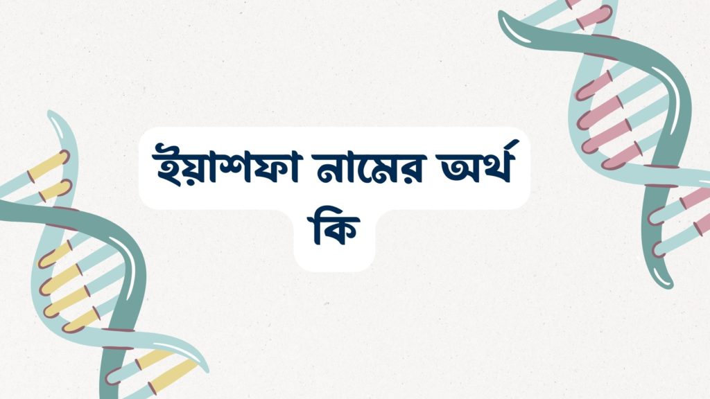 ইয়াশফা নামের অর্থ কি ()