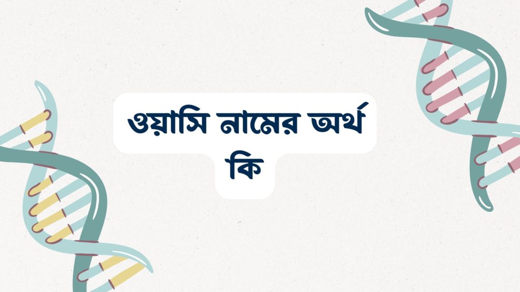 ওয়াসি নামের অর্থ কি ()