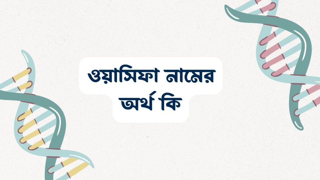 ওয়াসিফা নামের অর্থ কি ()
