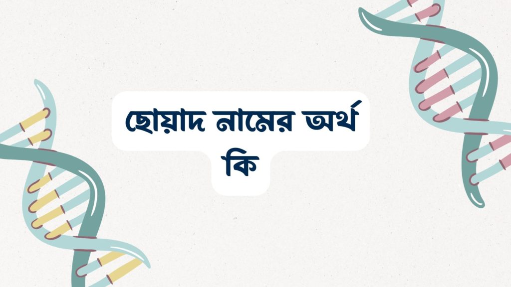 ছোয়াদ নামের অর্থ কি ()