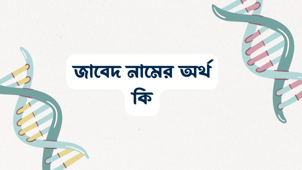 জাবেদ নামের অর্থ কি ()