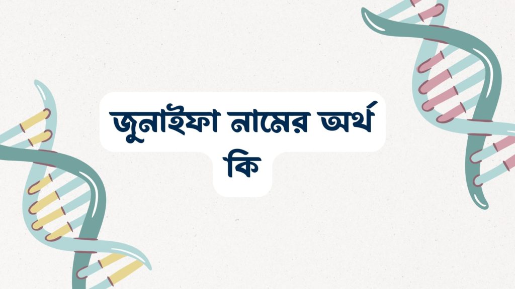 জুনাইফা নামের অর্থ কি ()