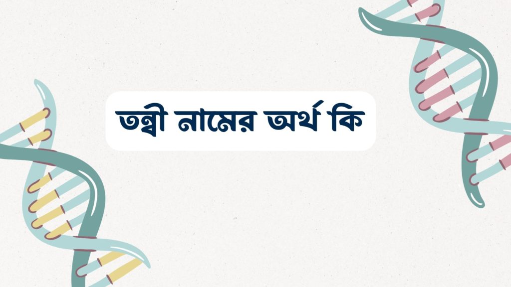তন্বী নামের অর্থ কি ()