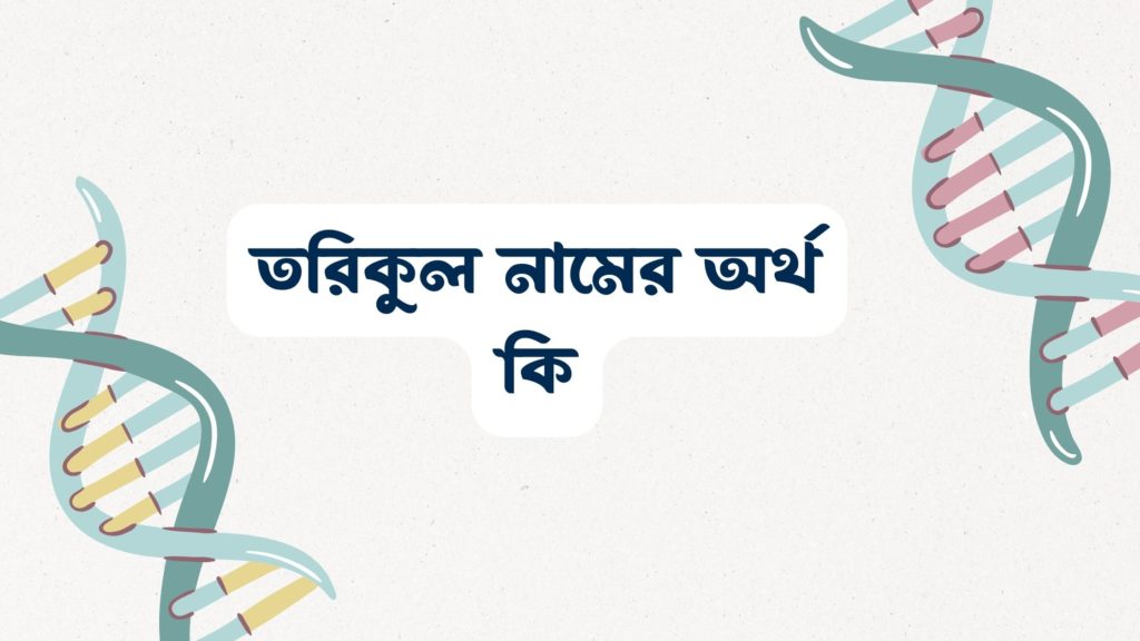 তরিকুল নামের অর্থ কি ()
