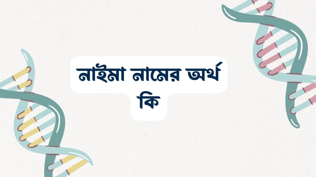 নাইমা নামের অর্থ কি ()