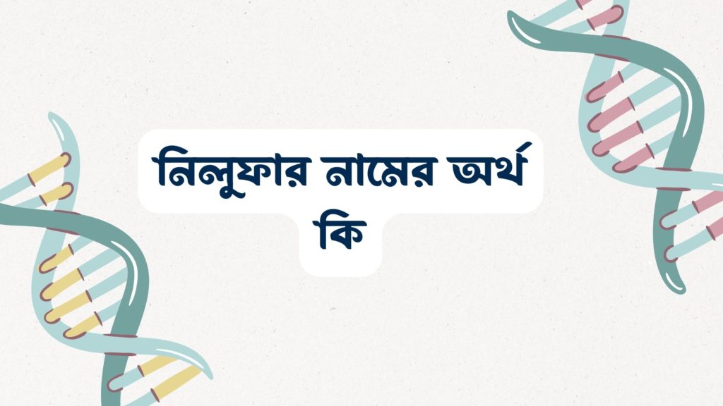 নিলুফার নামের অর্থ কি ()