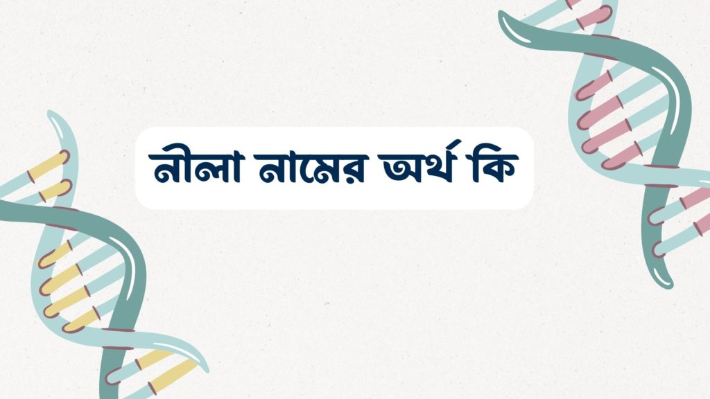 নীলা নামের অর্থ কি ()