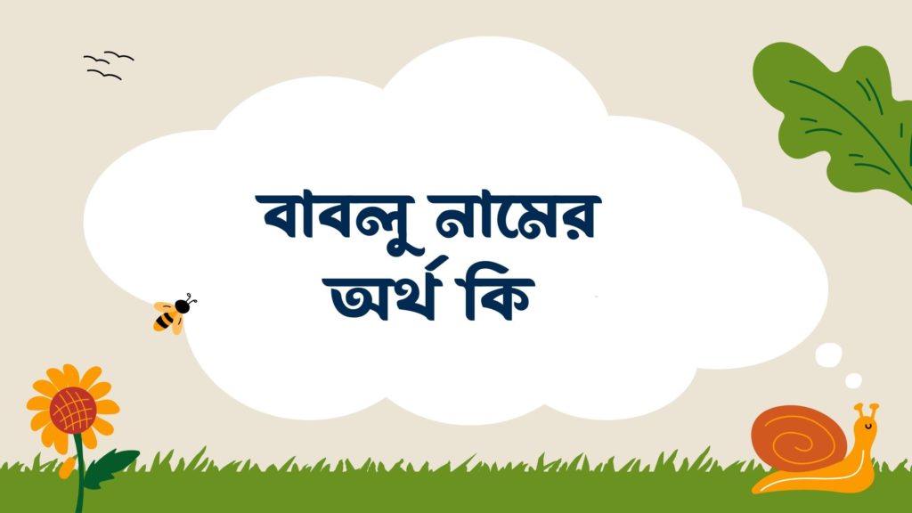 বাবলু নামের অর্থ কি বাবলু নামের অর্থ কি