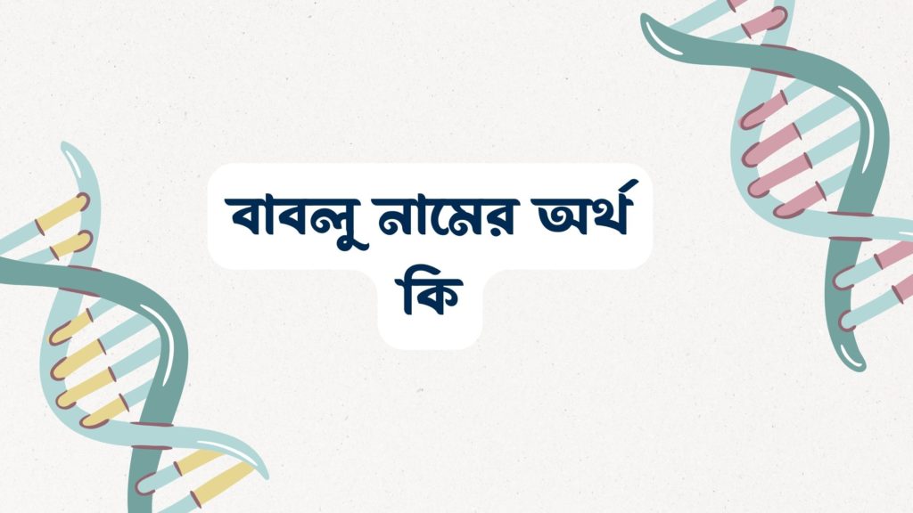 বাবলু নামের অর্থ কি ()