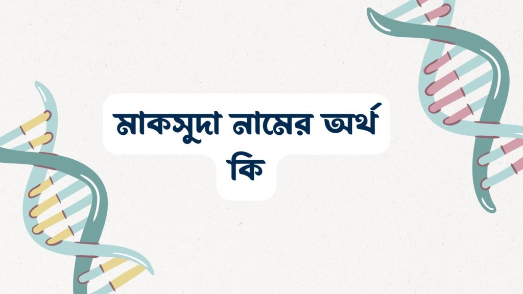 মাকসুদা নামের অর্থ কি ()