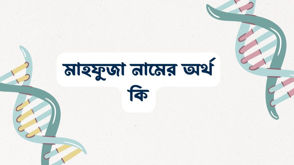 মাহফুজা নামের অর্থ কি ()