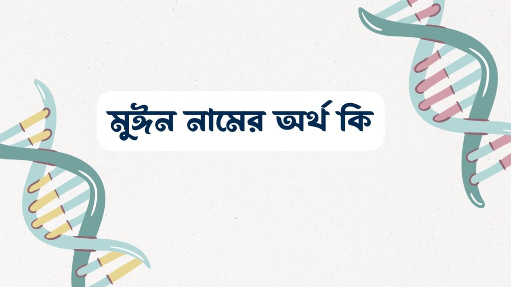 মুঈন নামের অর্থ কি ()