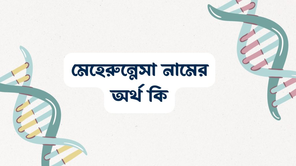 মেহেরুন্নেসা নামের অর্থ কি ()
