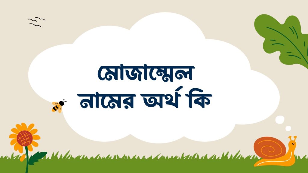মোজাম্মেল নামের অর্থ কি মোজাম্মেল নামের অর্থ কি