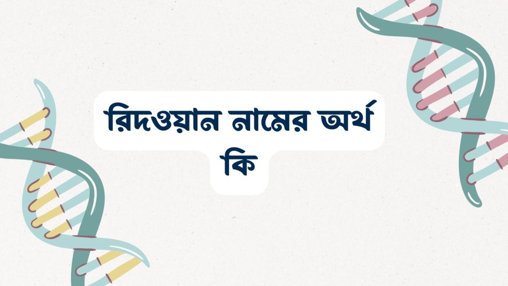 রিদওয়ান নামের অর্থ কি রিদওয়ান নামের অর্থ কি