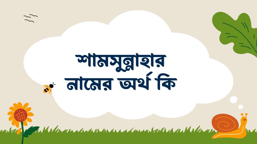 শামসুন্নাহার নামের অর্থ কি শামসুন্নাহার নামের অর্থ কি