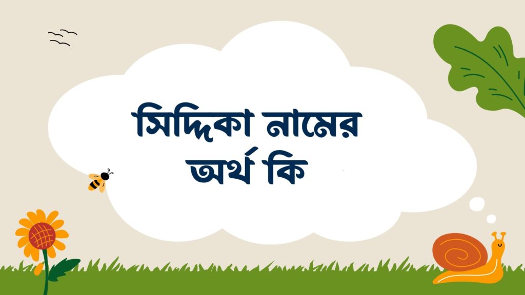 সিদ্দিকা নামের অর্থ কি সিদ্দিকা নামের অর্থ কি