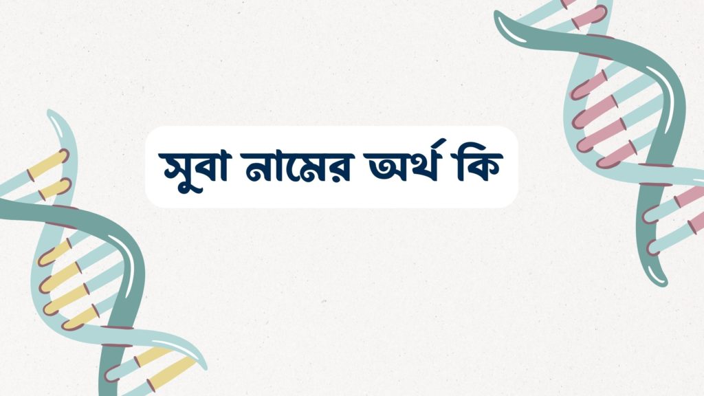 সুবা নামের অর্থ কি ()