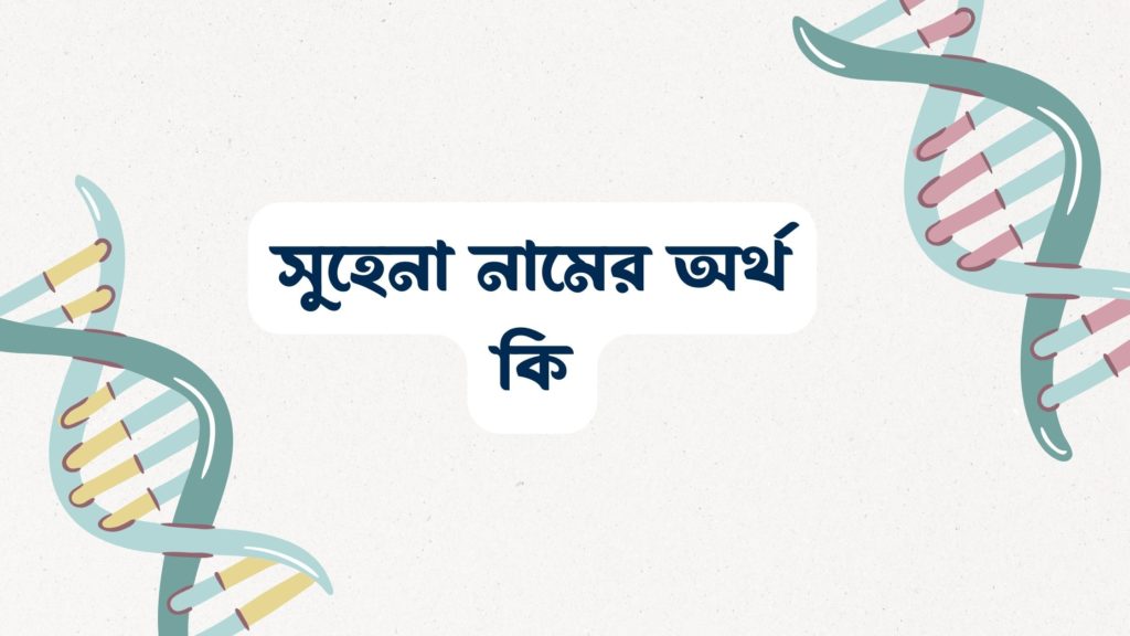 সুহেনা নামের অর্থ কি ()