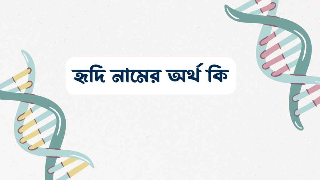 হৃদি নামের অর্থ কি ()