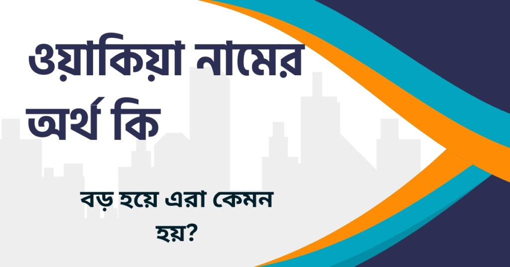 ওয়াকিয়া নামের অর্থ কি ওয়াকিয়া নামের অর্থ কি