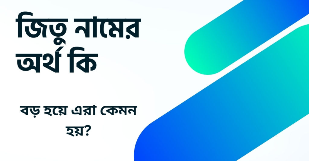 জিতু নামের অর্থ কি ()