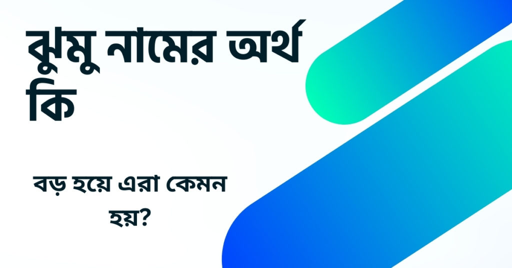 ঝুমু নামের অর্থ কি ()