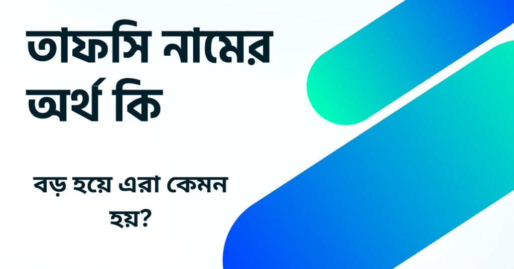 তাফসি নামের অর্থ কি ()
