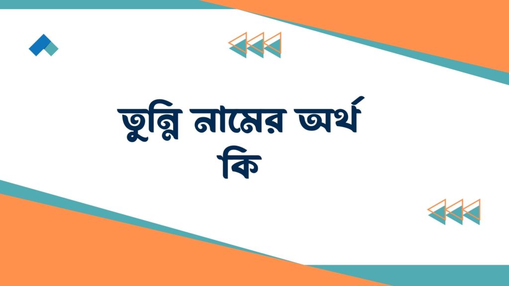 তুন্নি নামের অর্থ কি তুন্নি নামের অর্থ কি