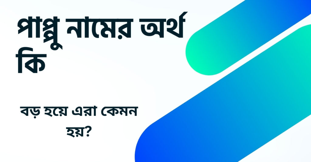 পাপ্পু নামের অর্থ কি ()