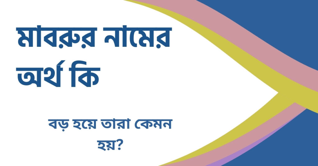 শাবনুর নামের অর্থ কি ()