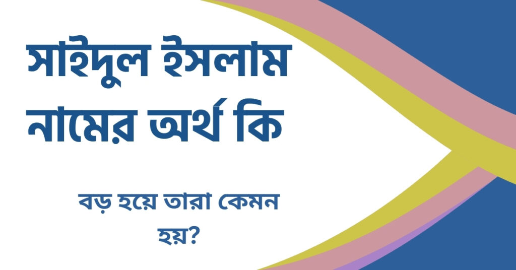 সাইদুল ইসলাম নামের অর্থ কি সাইদুল ইসলাম নামের অর্থ কি