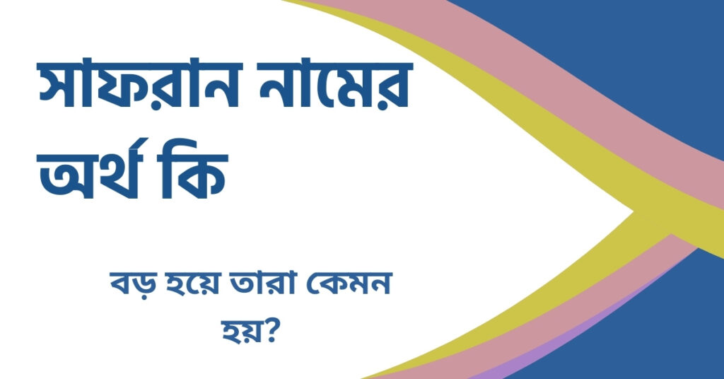সাফরান নামের অর্থ কি সাফরান নামের অর্থ কি